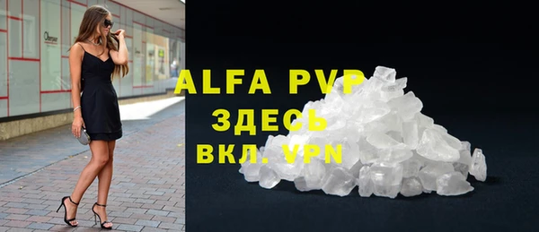 крисы Новозыбков