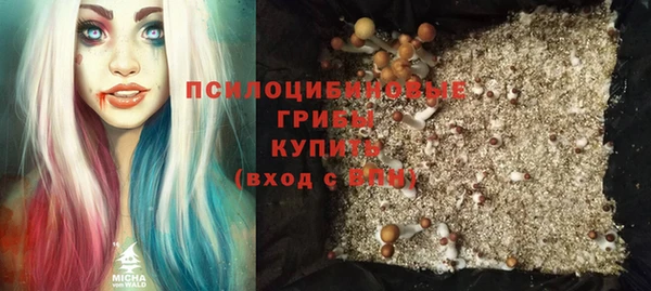 хмурый Новодвинск