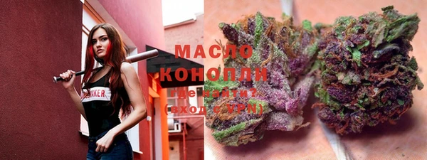 крисы Новозыбков