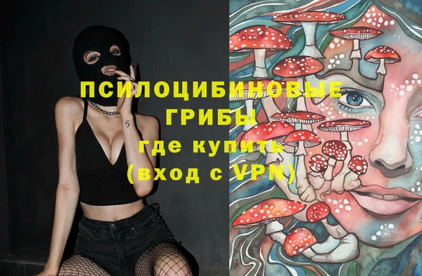 гашик Новокубанск