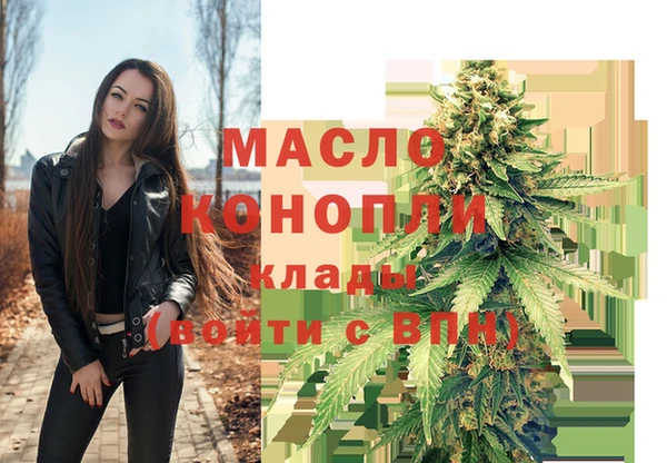 крисы Новозыбков