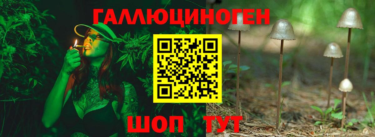 Нальчик  Галлюциногенные грибы MAGIC MUSHROOMS  Вход с VPN 
